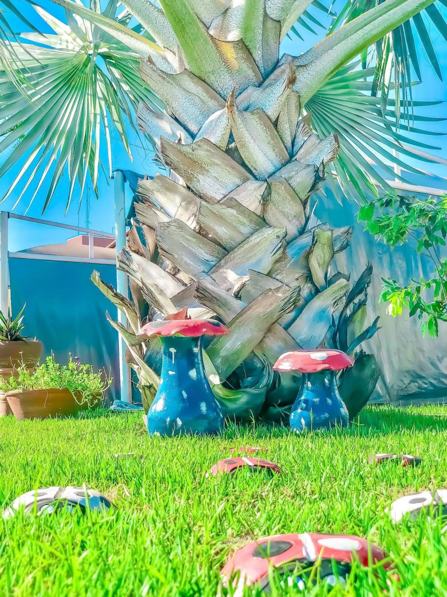 Ape Aconchegante Com Piscina I Wi-fi E A/c 公寓 Imperatriz